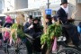Thumbs/tn_Boerenbruiloft 2015 130.jpg